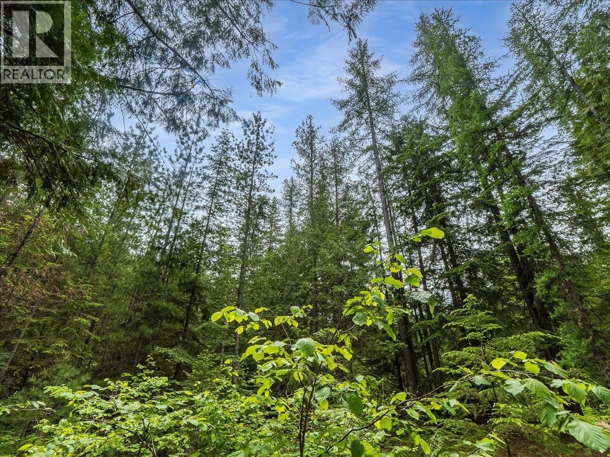  Claybrick Road, Winlaw, British Columbia V0G 2J0