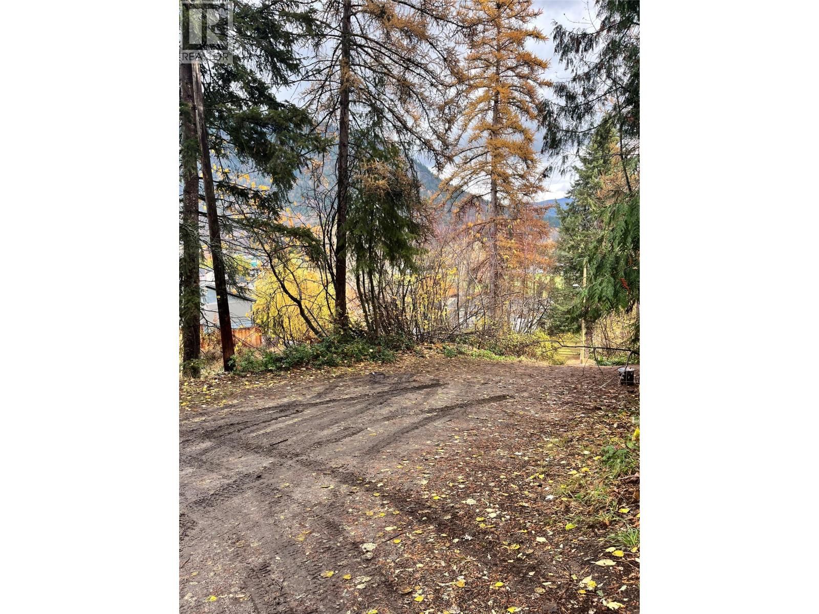  9TH Avenue, Castlegar, British Columbia V1N 1K8