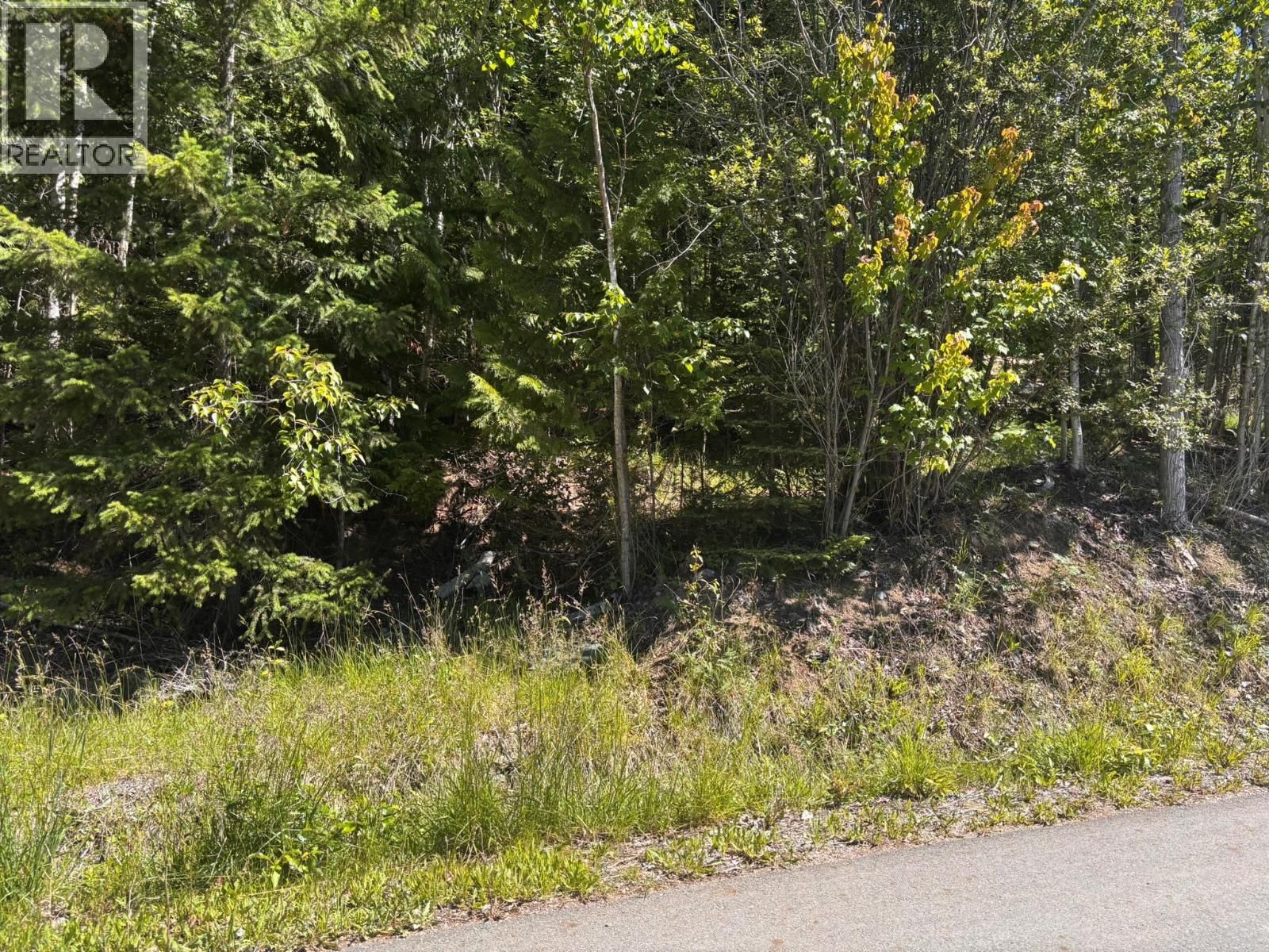 Lot 131 Aspen Road, Anglemont, British Columbia V0E 1M8