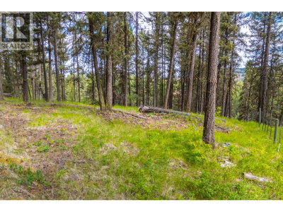 537 Wild Rose Drive | Merritt British Columbia | Slide Image Twenty-two