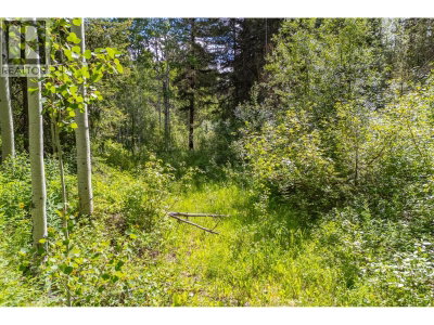 537 Wild Rose Drive | Merritt British Columbia | Slide Image Eight