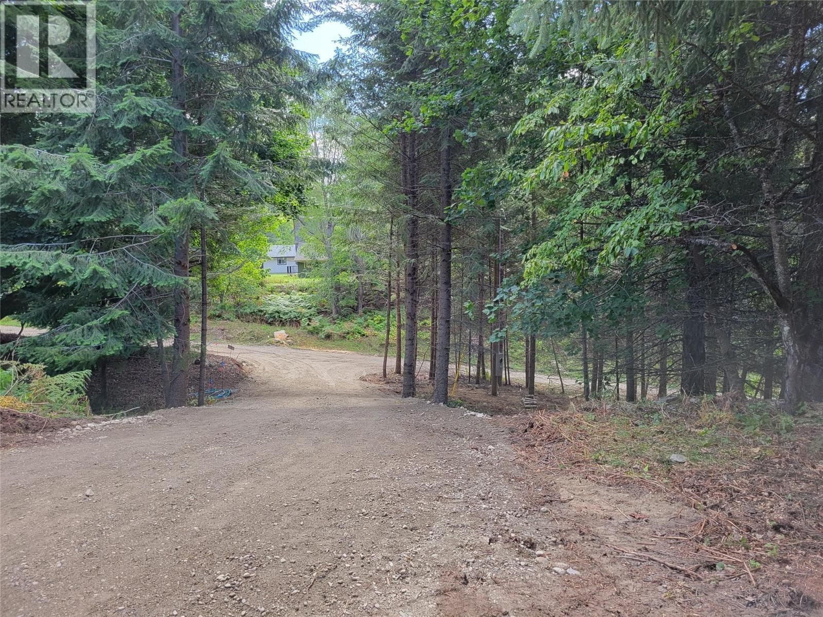 Parcel A 11TH Avenue, New Denver, British Columbia V0G 1S1