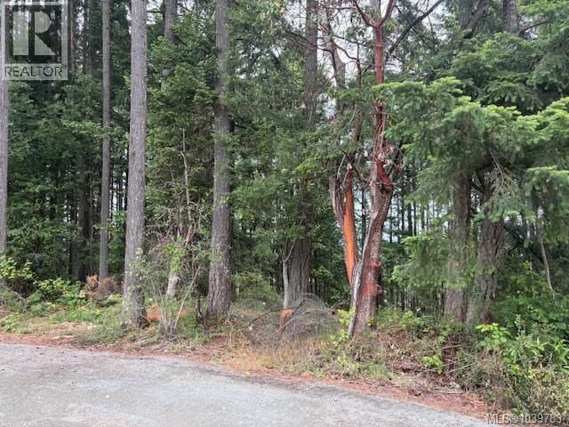 293 Adderly Road property photo