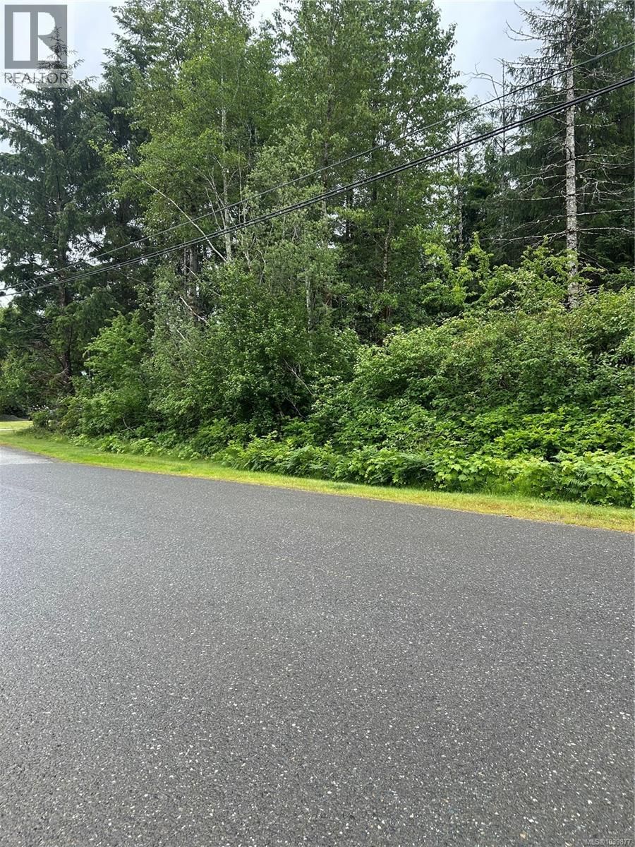 Lot 3 Despins Road, Sayward, British Columbia V0P 1R0