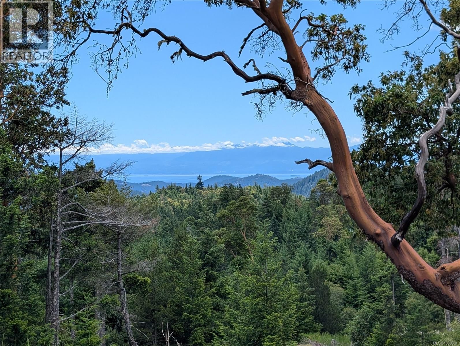 LT 6 Eagle Vista Road, Shawnigan Lake, British Columbia V8H 2J1
