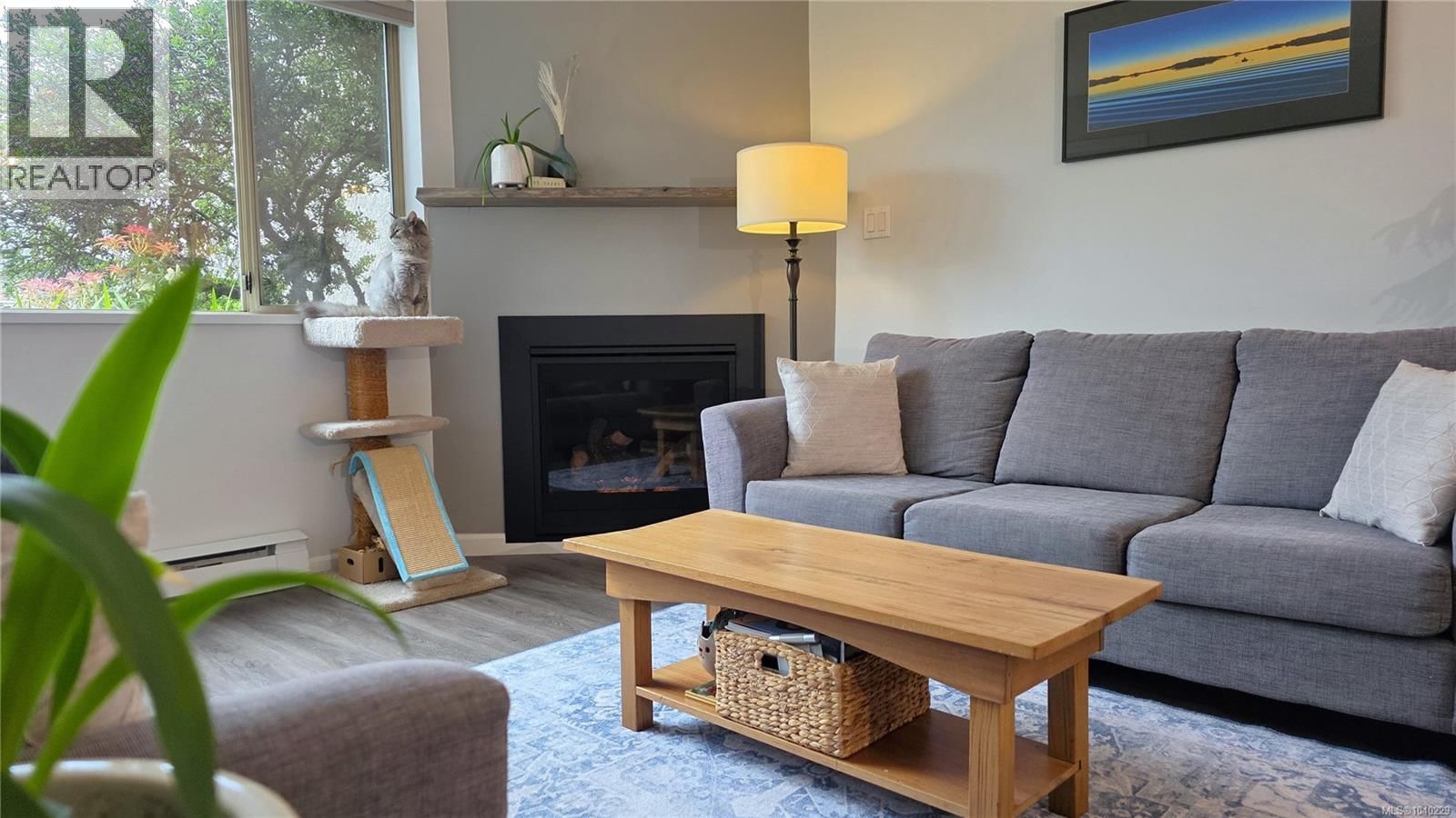 101 3400 Quadra Street property photo