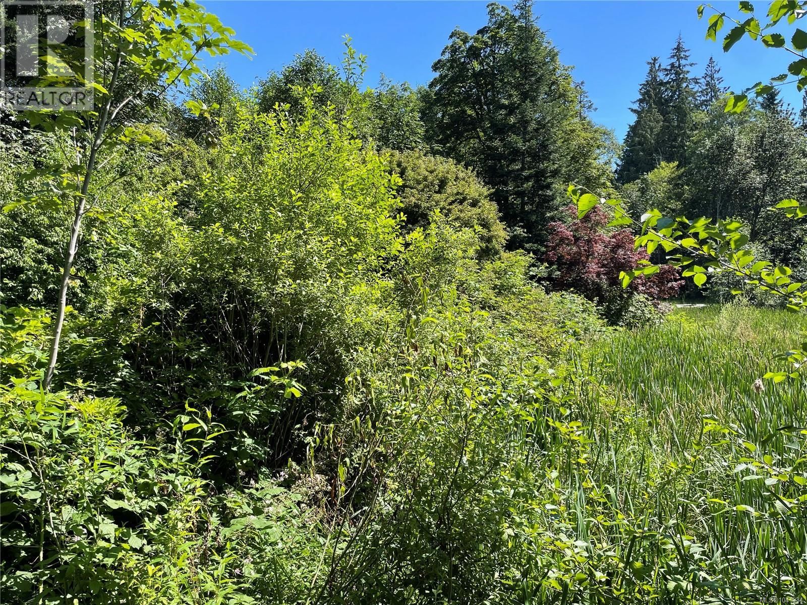 Lot A 375 Horne Lake Road property photo