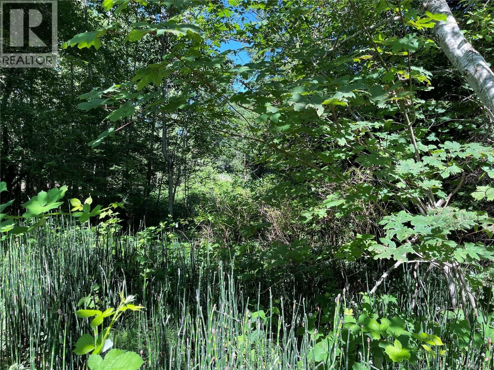 Lot A 375 Horne Lake Road property photo