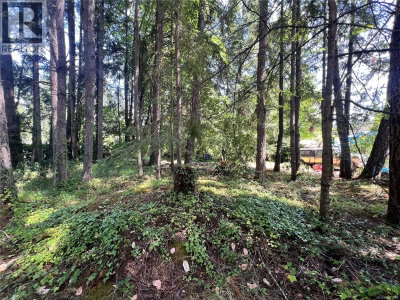 Lot B Chemainus Road | Chemainus British Columbia | Slide Image Two