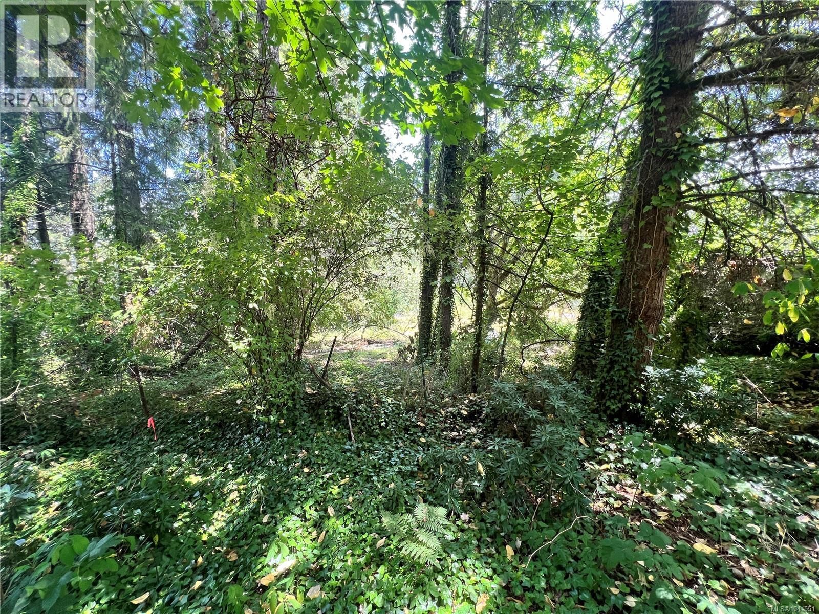 Lot B Chemainus Road property photo