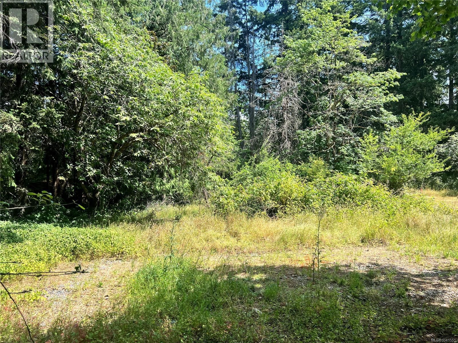 Lot B Chemainus Road property photo