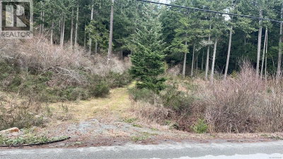 Lot A Ebadora Lane | Malahat British Columbia | Slide Image Two