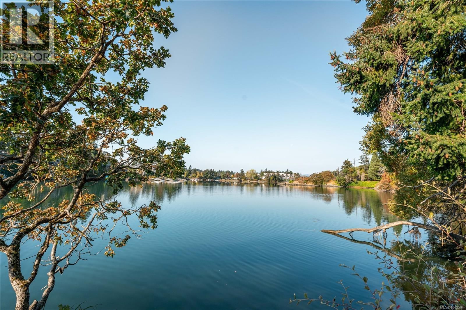 101 69 Gorge Road property photo