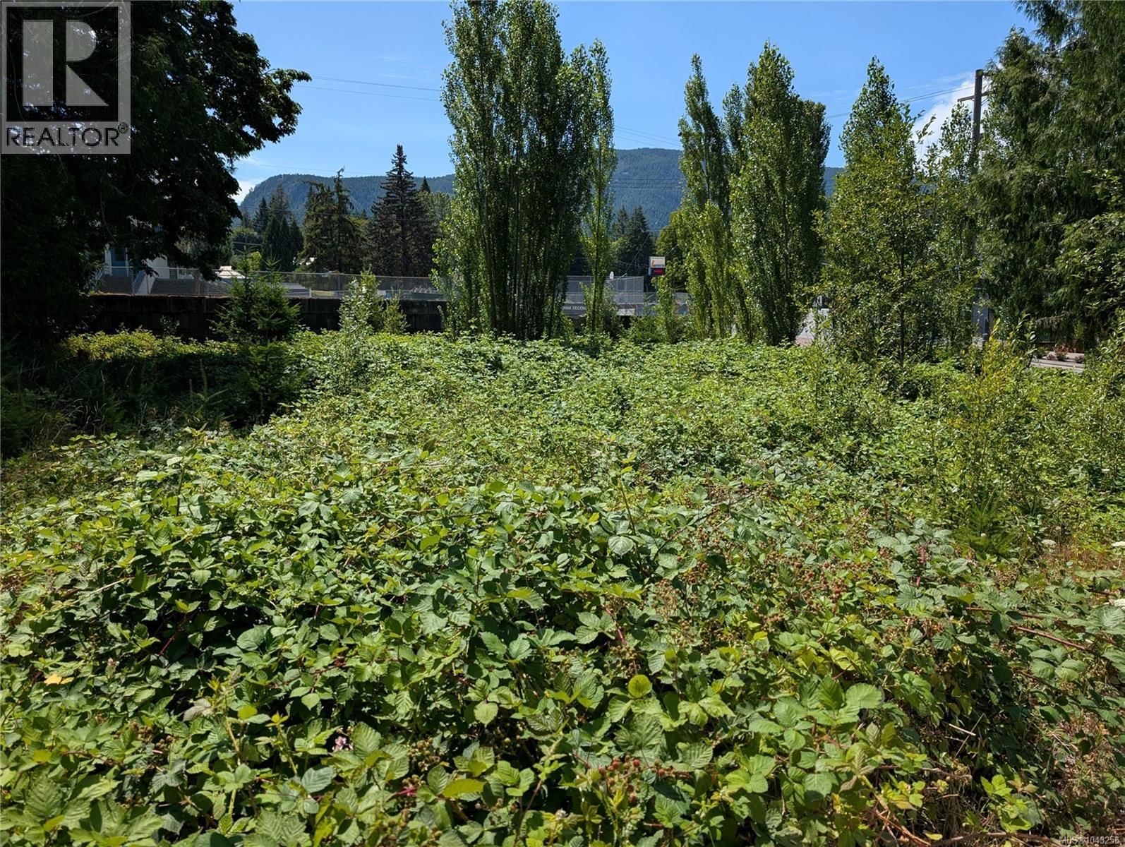 96 Cowichan Avenue property photo