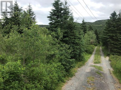 Image #1 of Commercial for Sale at 0 Snows Lane Road, North River, Newfoundland & Labrador