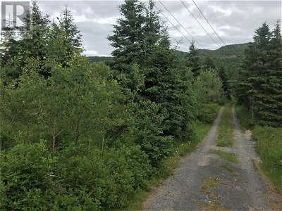 Image #1 of Commercial for Sale at 0 Snows Lane Road, North River, Newfoundland & Labrador