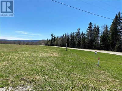 Image #1 of Commercial for Sale at Lot#5 Upper Tanquil Waters Road, Reidville, Newfoundland & Labrador
