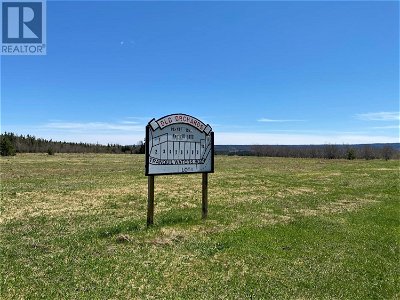 Image #1 of Commercial for Sale at Lot#4 Upper Tanquil Waters Road, Reidville, Newfoundland & Labrador