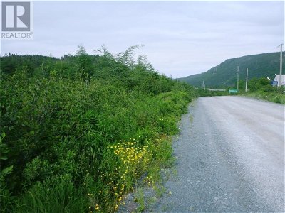 Image #1 of Commercial for Sale at 2-4 Snows Pond Road, North River, Newfoundland & Labrador