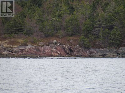 Image #1 of Commercial for Sale at 0 Bally Hack Cove, Avondale, Newfoundland & Labrador