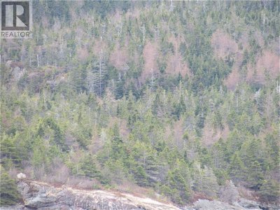 Image #1 of Commercial for Sale at 0 Bally Hack Cove, Avondale, Newfoundland & Labrador