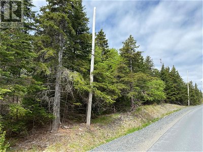 Image #1 of Commercial for Sale at 0 Saddle Hill, Carbonear, Newfoundland & Labrador