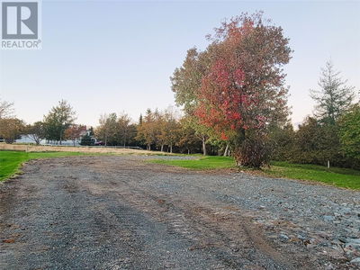 Commercial for Sale in Newfoundland-and-labrador