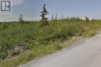 Commercial for Sale in Newfoundland-and-labrador