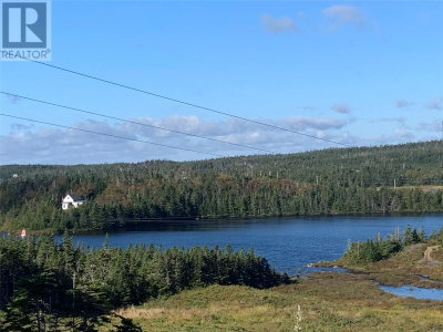 Lot 28 Halleran Trail | Brigus Junction Newfoundland & Labrador | Slide Image Fourteen
