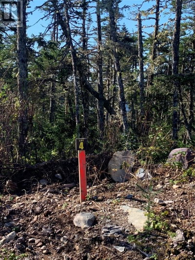 Lot 28 Halleran Trail | Brigus Junction Newfoundland & Labrador | Slide Image Five