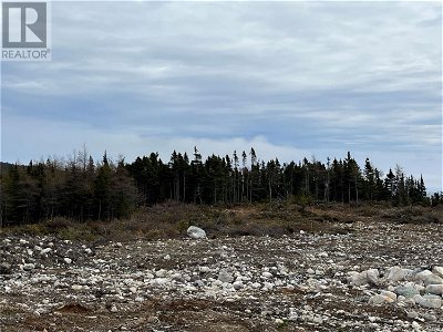 Image #1 of Commercial for Sale at 3 Butlers Road, Witless Bay, Newfoundland & Labrador