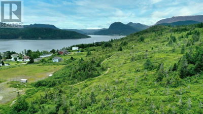 Commercial for Sale in Newfoundland-and-labrador