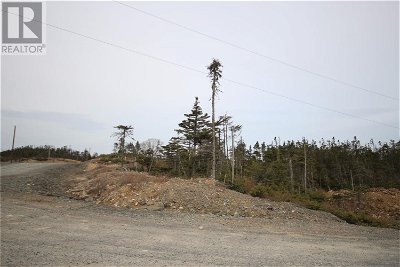 Image #1 of Commercial for Sale at Lot 9 Peninsula Road, Whitbourne, Newfoundland & Labrador