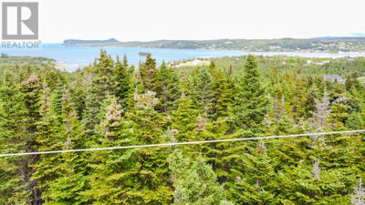 Commercial for Sale in Newfoundland-and-labrador