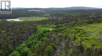 Commercial for Sale in Newfoundland-and-labrador