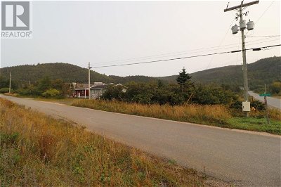 Image #1 of Commercial for Sale at 1 Sacreys Lane, Norris Point, Newfoundland & Labrador