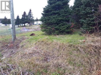 Image #1 of Commercial for Sale at 0 Lance Cove Road, Bell Island, Newfoundland & Labrador