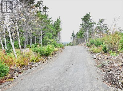 Image #1 of Commercial for Sale at Lot 6 Second Pond Road, Shearstown / Butlerville, Newfoundland & Labrador