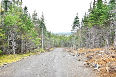 Image #1 of Commercial for Sale at Lot 7 Second Pond Road, Shearstown / Butlerville, Newfoundland & Labrador