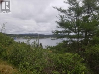 Image #1 of Commercial for Sale at 80 Gallows Cove Road, Witless Bay, Newfoundland & Labrador