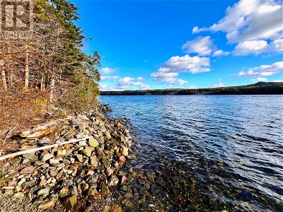 Image #1 of Commercial for Sale at Lot #2 Branch Road, Charleston, Newfoundland & Labrador