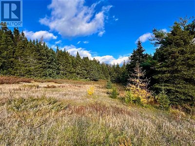 Image #1 of Commercial for Sale at Lot #2 Branch Road, Charleston, Newfoundland & Labrador