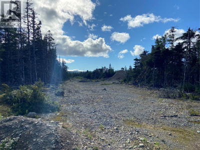 Commercial for Sale in Newfoundland-and-labrador