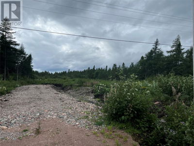 Commercial for Sale in Newfoundland-and-labrador