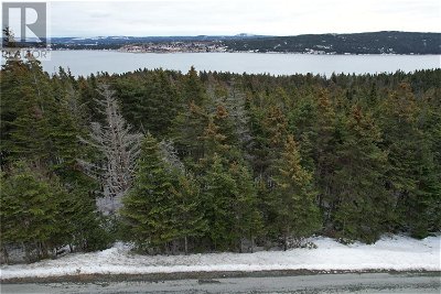 Image #1 of Commercial for Sale at 17 & 17a Bacon Cove Road, Kitchuses, Newfoundland & Labrador