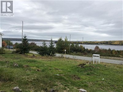 Image #1 of Commercial for Sale at 187 Citizens Drive, Norris Arm, Newfoundland & Labrador