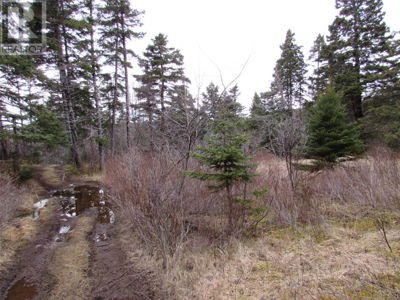 Commercial for Sale in Newfoundland-and-labrador