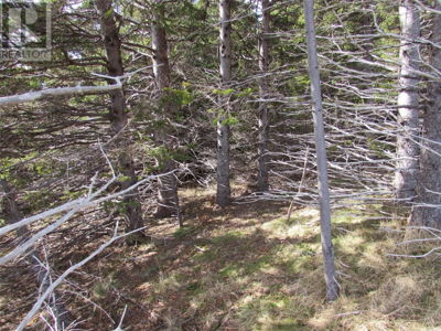 Commercial for Sale in Newfoundland-and-labrador