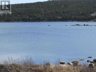 Commercial for Sale in Newfoundland-and-labrador