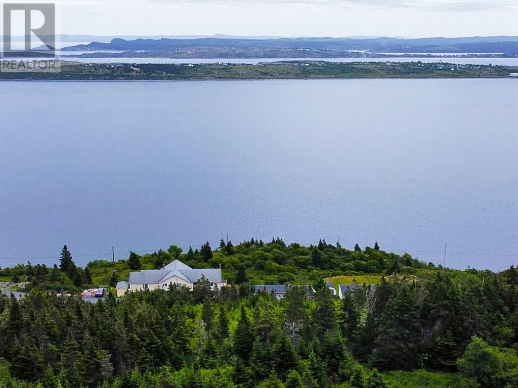 Primary Property View